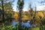 117 Rea Road, Tahawai, Katikati - Carousel 25