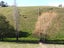 81 Maudes Road, Deborah - Carousel 27