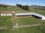 0 Settlers Road, Reporoa, Reporoa - Carousel 20