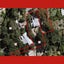 33 Burns Road, Hospital Hill, Napier - Carousel 18