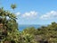 14 Glen Brook Road, Omiha, Waiheke Island - Carousel 13