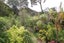 30 Girrahween Drive, Totara Vale, Auckland - Carousel 11