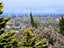 2B Kelsall Street, Hospital Hill, Napier - Carousel 2