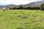 0 Bayfield Street, Seddonville, Westport - Carousel 3
