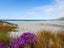 36 Beach Road, Long Beach, Port Chalmers - Carousel 27