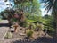 583 Kopuku Road, Maramarua Forest, Te Kauwhata - Carousel 37