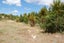 960A Oneriri Road, Kaiwaka, Kaiwaka - Carousel 14
