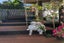 1B Rae Road, Campbells Bay, Auckland - Carousel 10
