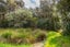 312E Ahiaruhe Road, Ahiaruhe - Carousel 39