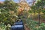 56A Clyde Road, Ilam, Christchurch - Carousel 27