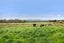 123 Battersea Road, Morison Bush, Greytown - Carousel 39