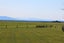 421 Pages Road, Gleniti, Timaru - Carousel 31