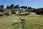 381 Horokiwi Road, Horokiwi, Wellington - Carousel 4