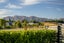 13 Campbell Road, WANAKA - Carousel 5