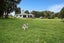 27 Hodge Road, Ruatangata West, Whangarei - Carousel 21