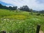 1123 State Highway 12, Oue, Kaikohe - Carousel 26
