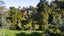 72 Goodall Street, Hillsborough, Auckland - Carousel 1
