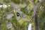 3 Patricia Place, Hahei, Whitianga - Carousel 5