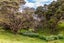 188 Ahiaruhe Road, Ahiaruhe, Carterton - Carousel 45