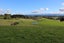 255 Lees Pakaraka Road, Te Ore Ore, Masterton - Carousel 16