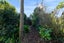 7091 South Road, Warea, South Taranaki, Taranaki - Carousel 42