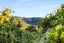 94 Lord Street, Stokes Valley, Lower Hutt - Carousel 20