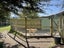 23 Goodwood Road, Goodwood - Carousel 17