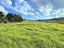 0 Babylon Coast Road, Parore, Dargaville - Carousel 12