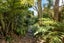28A Beatty Avenue, Te Puke, Te Puke - Carousel 2