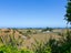 6380 South Road, Opunake - Carousel 8