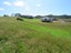 14 Akeake Crescent, Karikari Peninsula, Karikari Peninsula - Carousel 9