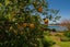49 Main Sh25 Road, TAIRUA, Tairua - Carousel 22