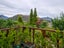 1056 Frankton Road, Frankton, Queenstown - Carousel 16