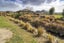 3A Ben Elder Place, Netherby, Ashburton - Carousel 5