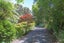 50 Rewa Rewa Valley, Tairua, Thames - Carousel 3