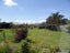 25 Johnston Street, Foxton, Foxton - Carousel 19