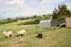 614 Falls Road, Waerenga - Carousel 31