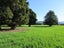 0 Ellison Rd, Norsewood - Carousel 19