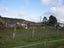 119 Shiel Street, Reefton, Reefton - Carousel 1