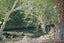 29A Hoon Hay Road, Hoon Hay, Christchurch - Carousel 16
