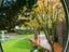 27 Byron Street, Leamington, Cambridge - Carousel 19
