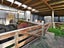 453 Kururau Road, Taumarunui - Carousel 14