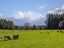 22 Lees Pakaraka Road, Te Ore Ore, Masterton - Carousel 7