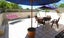 59A Southern Cross Road, Kohimarama, Auckland - Carousel 4