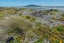 10 Rodney Avenue, Te Horo Beach - Carousel 26