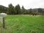 136 Charming Creek Road, SEDDONVILLE, WESTPORT - Carousel 21