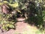 3 Waitangi Road, Lake Tarawera, Rotorua - Carousel 5