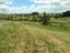0 Hanning Road, Earnscleugh, Alexandra - Carousel 3