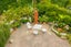 77A Baddeley Avenue, Kohimarama, Auckland - Carousel 6