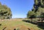 278 Homestead Road, Weston, Oamaru - Carousel 3